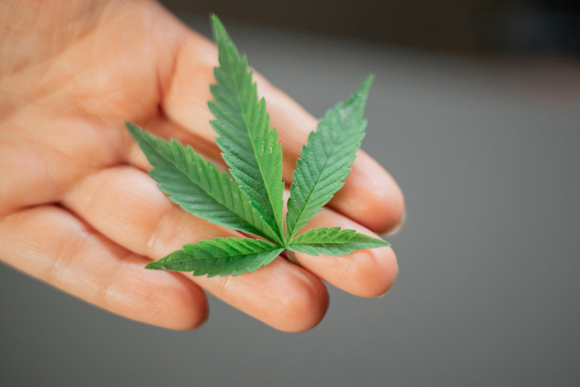 Understanding Medical Marijuana for Tourette’s Syndrome