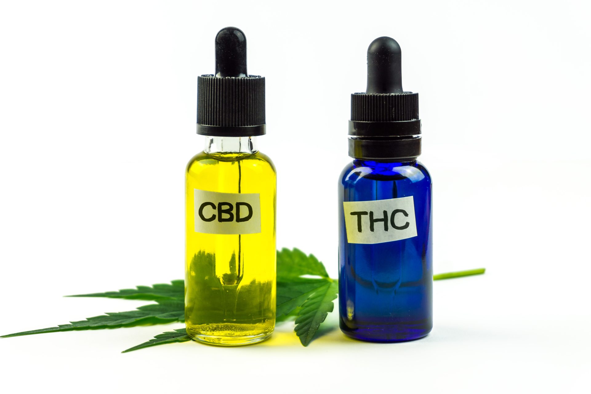 Understanding CBD: THC Ratios | What’s Best for You?