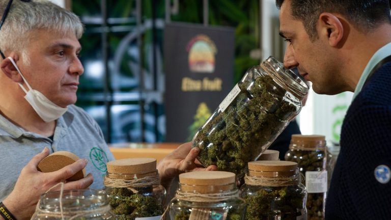 How Do Medical Marijuana Cards Work in the United States? A Complete Overview Guide