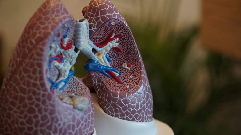 Can Medical Cannabis Help People with Chronic Obstructive Pulmonary Disease (COPD)?